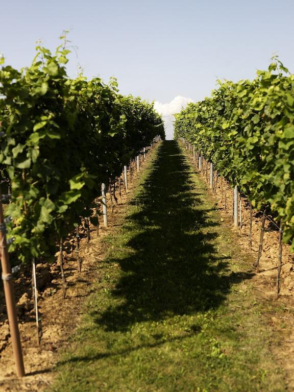 Weinhotel Fritz Walter Niederhorbach Εξωτερικό φωτογραφία